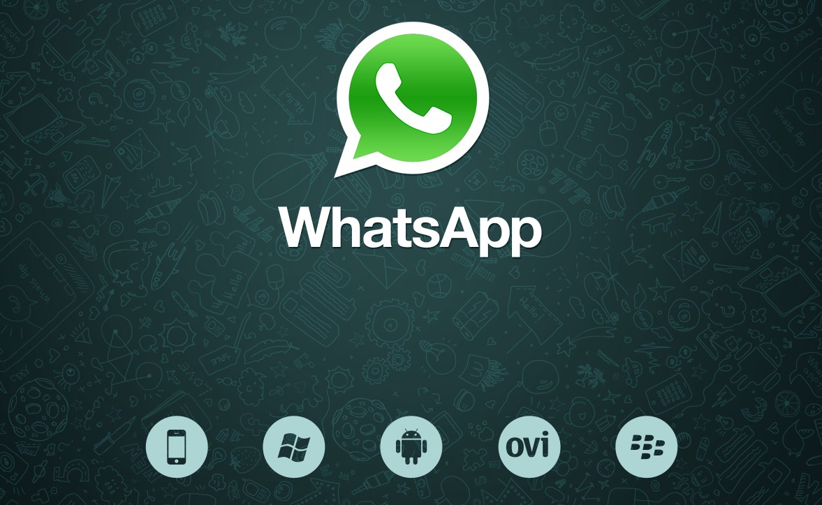 Enjoy the Whatsapp messenger - Radical Hub