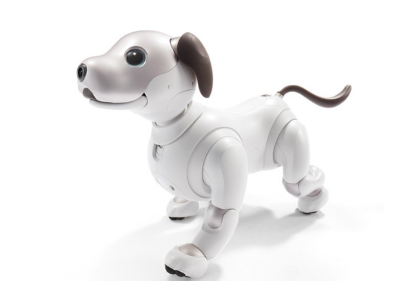 aibo plush