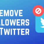 Delete Twitter Followers