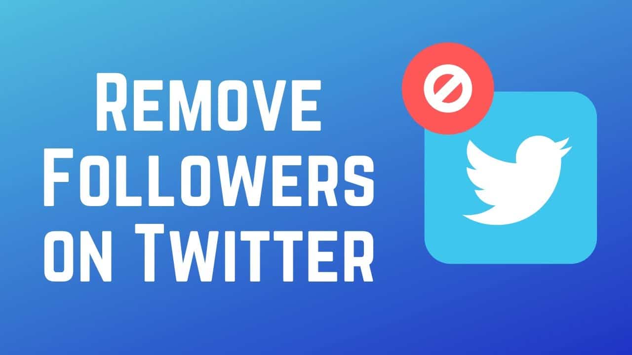 Delete Twitter Followers